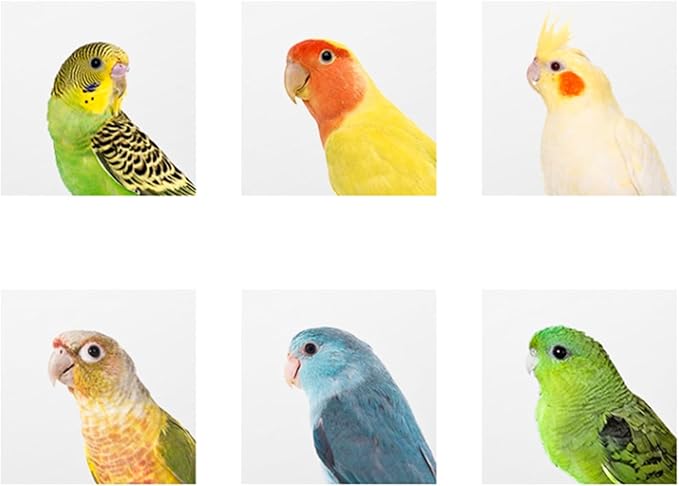 Hiceeden 2 Pack Parakeet Nest Box, Natural Wood Bird Nesting Box, Small Bird House Breeding Box for Budgie Lovebirds, Cockatiel, Parrots Mating, Aviary, 7.7×4.7×4.7 Inches