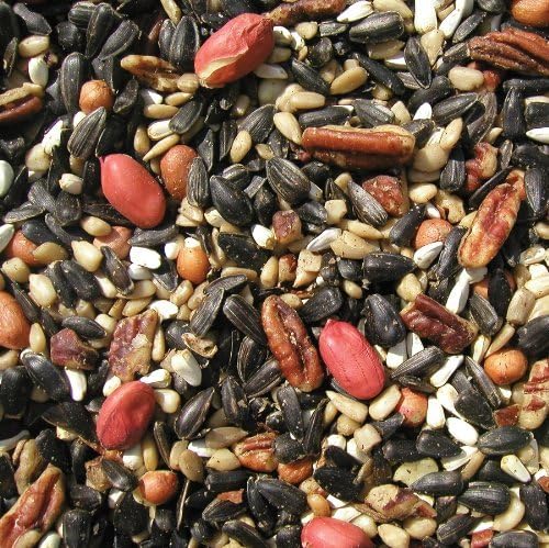 Coles Wild Bird Products Special Feeder Bird Food 20 lb (Pack of 2)
