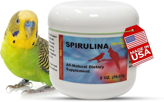 Morning Bird Spirulina 2 oz – Organic Superfood Supplement for Birds – Rich in Vitamins, Protein & Amino Acids – Ideal for Parakeets, Cockatiels, Budgies, Finches, Canaries & Parrots