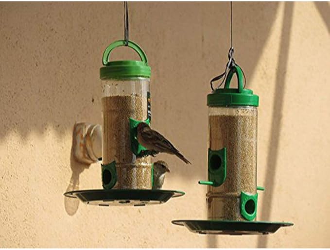 Amijivdaya Medium Bird Feeder Pack of 1
