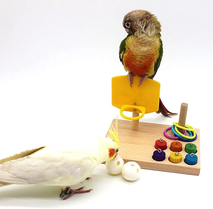 QBLEEV Bird Toys - Budgie & Parrot Training Toys, Color Ring Sets, Chew Ball & Play Gym