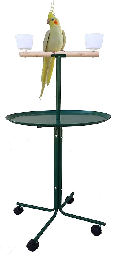 Large 49" Green Metal Base Parrot Bird Cage Amazon African Grey Macaw Cockatoo Cockatiel Play Metal Stand