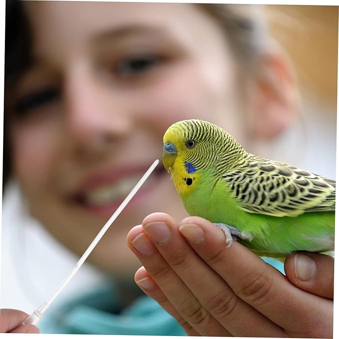 FRCOLOR 25 Pcs Baby Bird Hose Parakeet Food Pet Feeder Medicine Capsule Baby Birds Drinking Tool Parrot Hose Pigeon Feeder Connector Plastic Medication