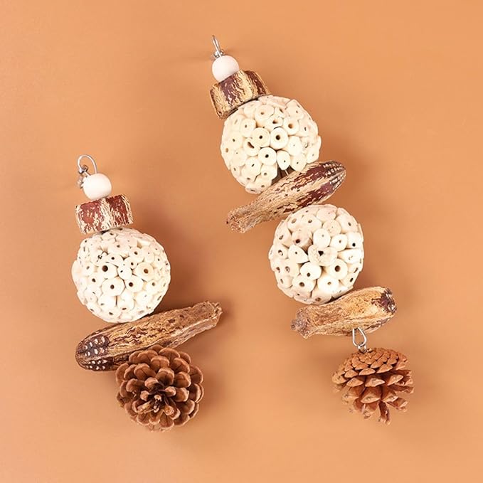 Bird Chew Toy for Pet Bird Parrot Sola Ball Natural Nuts Pinecone Chewing Toy for Small Parakeet Cockatiel Conures Finch Budgie (L)