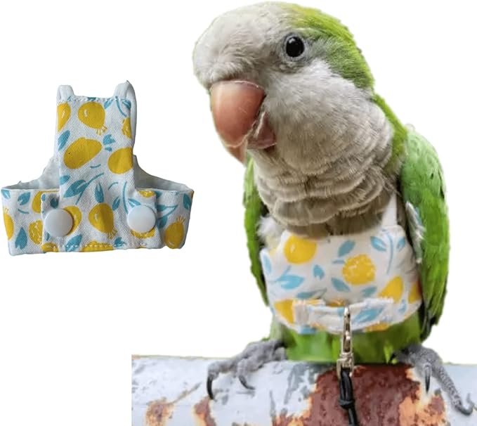 Bird Flight Harness Vest, Parrot Flight Suit with Leash for Parakeets Cockatiels, Bird Flying Clothes with Rope and Handle for Outdoor Activities Training (Yellow Without Leash,Medium)