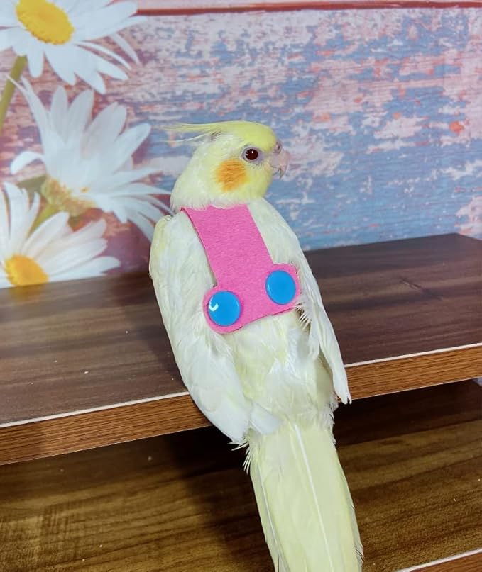 Bird Flight Harness Vest, Parrot Flight Suit with Leash for Parakeets Cockatiels Conures Budgies, Bird Flying Clothes with Rope and Handle for Outdoor Activities Training (3XL,Pink)