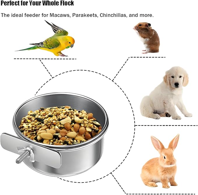 Parrot Feeding Cups Stainless Steel Bird Cage Feeder & Water Bowl - Chew-Proof Food Bowls with Clamp Holder for Parrot, Cockatiel, Conure, Budgie, Macaw, and Small Animals (M - 1Pc)