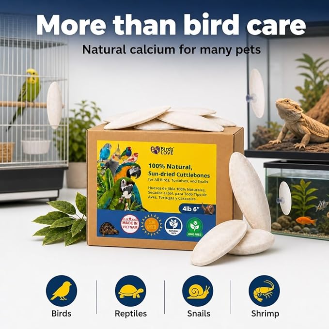 Birds LOVE 5.5-6″ Cuttlebones for Birds – 100% Natural Sun-Dried Calcium Carbonate Mineral Supplement – for Parakeets, Budgies, Cockatiels, Finches & Canaries – 4 lb with Holder – Made in Vietnam