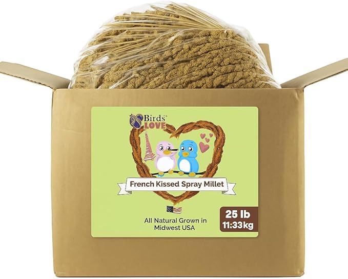 Birds LOVE French Kissed Spray Millet for Birds - Parakeets, Cockatiels, Lovebirds, Finches, Budgies, Canaries, Cockatoos - Natural & Healthy Bird Millet - Parakeet Food & Treats for all Parrots 25lbs