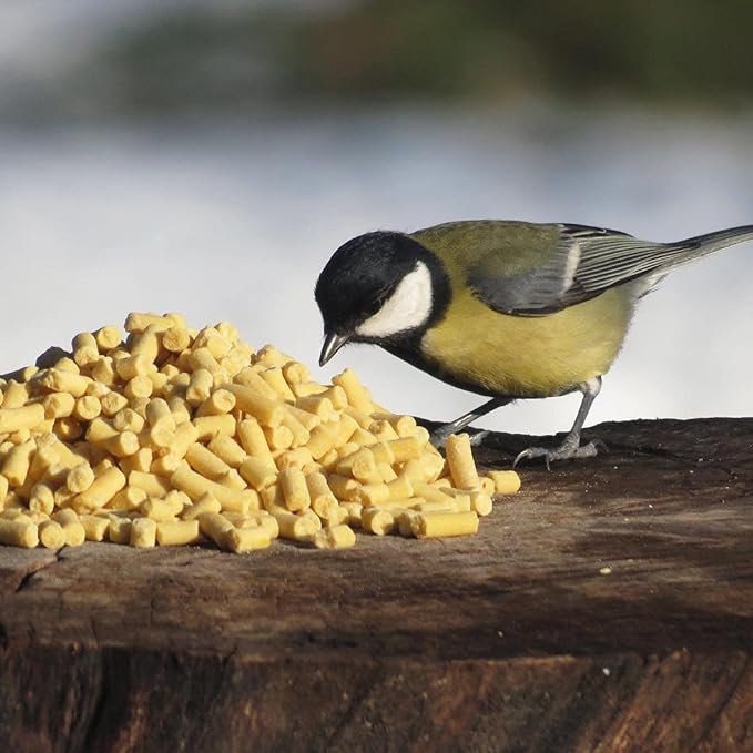 Unipet Suet to Go Pellets & Insects Wild Bird Food 3Kg Tub