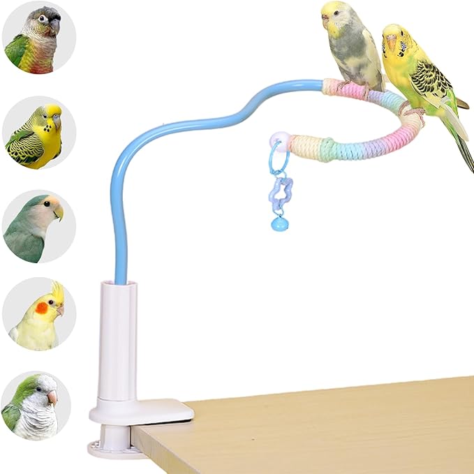 Flexible Bird Perch Stand with Bell - Parrot Toy & Desktop Training Playstand for Budgies, Cockatiels, Lovebirds, Conures, Parakeets - Colorful Playground Accessories (Blue, Medium)