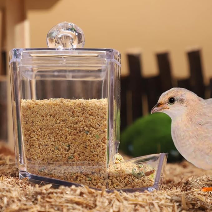 POPETPOP Bird Feeder for Multiple Pets, Transparent Design, 150 oz Capacity
