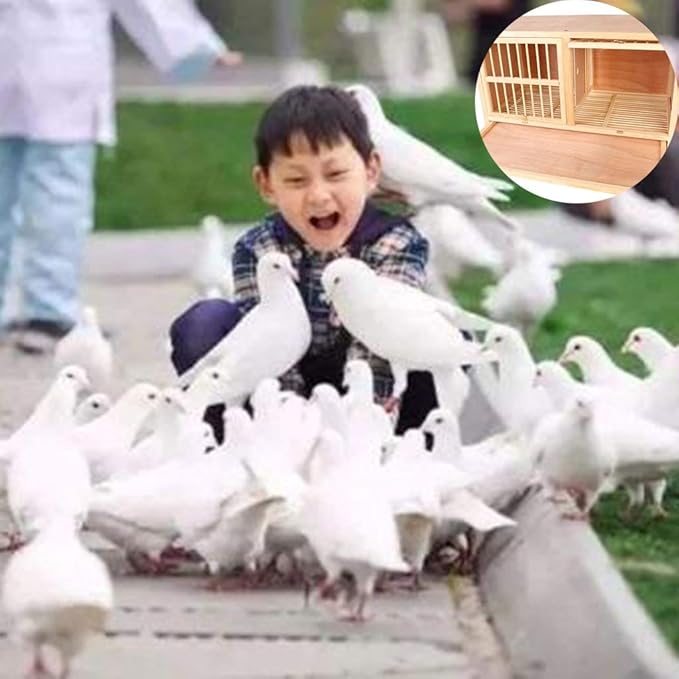 Bird cage Solid Wood Nest Box Pigeon Pairing Cage Pigeon Racing Homing Pigeon Nest Pigeon Supplies The Design of The Door Rotating Door Bolt (Color : Brown, Size : 804045 cm)
