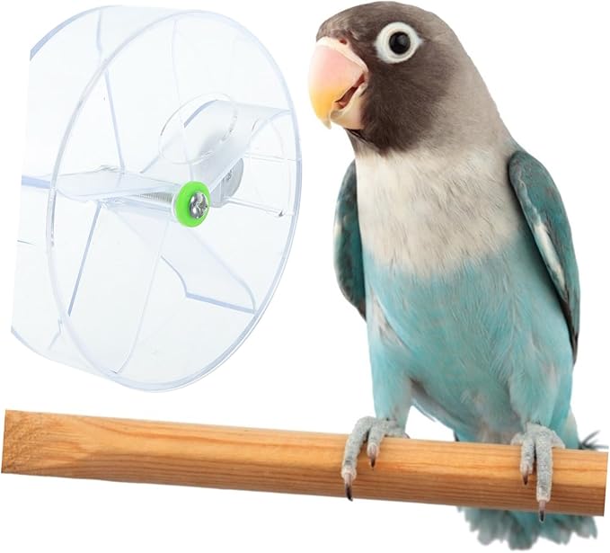 Milisten 1set Bird Intelligence Growth Cage Toy Rotate Wheel Feeder for Foraging Interactive Food Toy for Parrots Cockatiels Random Color Transparent Frosted