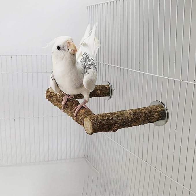 Natural Wood Bird Perches for Parrot - Wooden Bird Parrot Stand Branches Parakeet Cage Perch Accessories for Small Birds Budgies Cockatiels Conure Lovebirds (BP2)