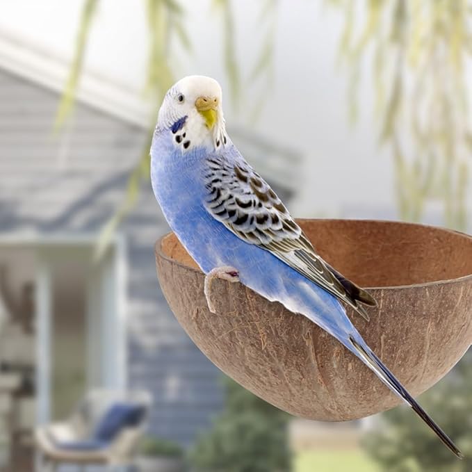 VTurboWay 2 Pack Bird Nest Natural Coconut Shell Parrot Nest Finch House Canary Bed Hatching Nest Breeding Nesting for Cage Sleeping Bird Bed