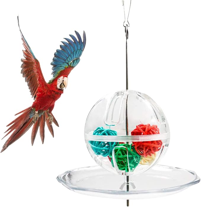 Bird for Creative Foraging Feeder Food Ball Rotate Training Toy Rattan for Small and Parrots Parakeets Conu Bird Foraging Feeder Toys Food Stainless Steel Hanging Food Treat Holder