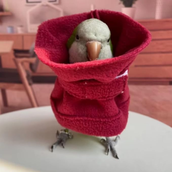 Bird Neck Collar Pet Parrot Anti-bite Picking Feather Healing Protective Neck Cover Collar for Lovebird Macaw Conure Cockatoo African Grey Random Color (2XL)