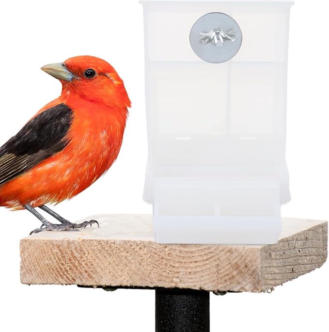 IMIKEYA 2pcs Automatic No Mess Bird Feeder for Cage - Easy Clean Parakeet Container - Ideal for Parrots Cockatiels and Finches Bird Feeding