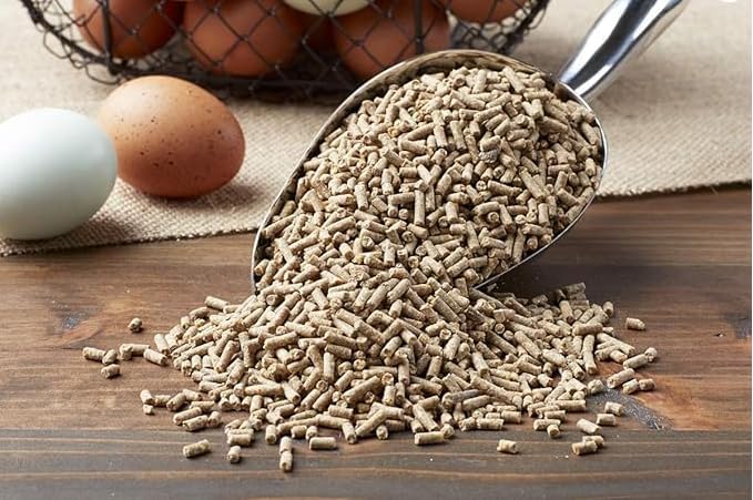 Purina Layena+ | Nutritionally Complete Layer Hen Feed | Omega 3 Formula - 10 Pound (10 lb) Bag