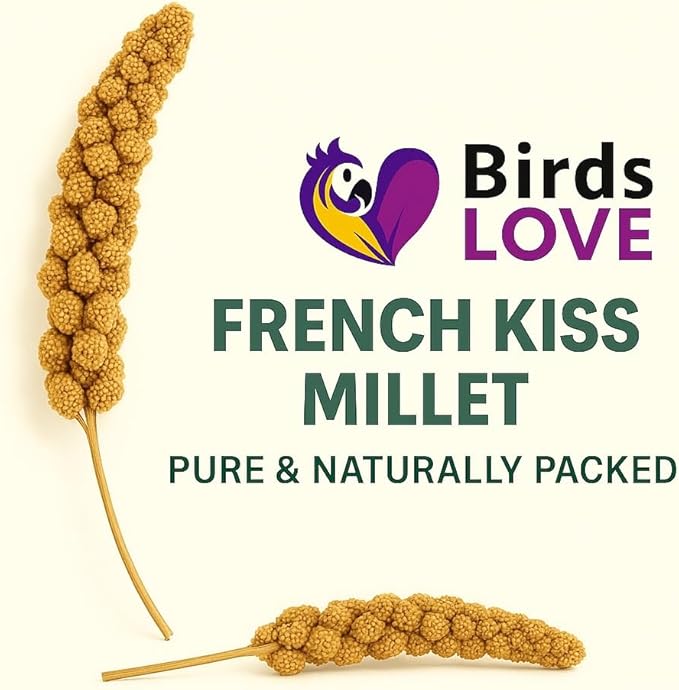 Birds LOVE French Kissed Spray Millet for Birds - Parakeets, Cockatiels, Lovebirds, Finches, Budgies, Canaries, Cockatoos - Natural & Healthy Bird Millet - Parakeet Food & Treats for all Parrots 25lbs