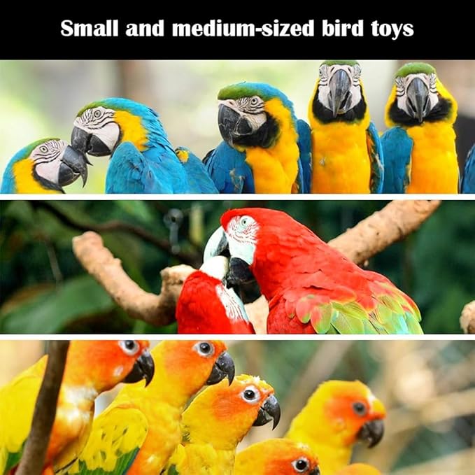 2 Pack Bird Toys with Cuttlebone,Chewing Bird Toy for Parakeet, Bird Beak Grinding Stone,Natural Birds Calcium,Cage Accessories for Parakeets,Cockatiels, Lovebirds, Small to Medium Birds