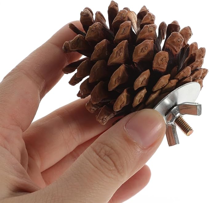 LIOOBO 10 Pcs Natural Pine Cones Bird Toys, Parrot Chew Toy for Cage, Wood Foraging Shredding Playthings Conure Cockatiel Parakeet African Grey Macaw Nut Fixed