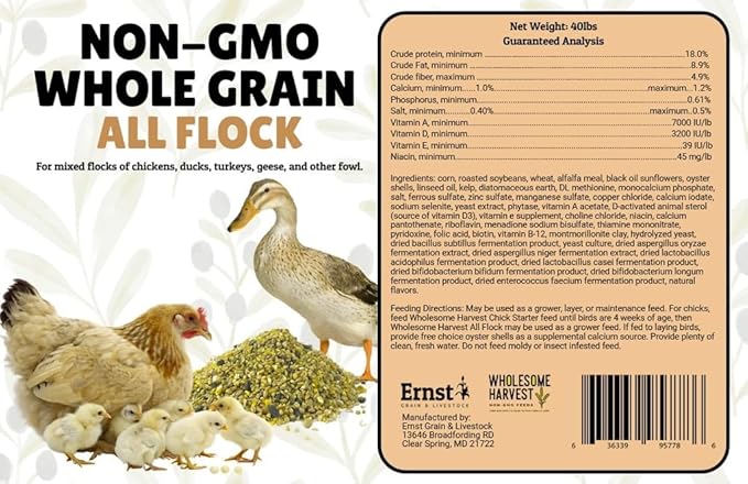 All Flock Feed, High Nutrition for Flocks, Non-GMO Duck, Turkey, Geese and Chicken, Whole Grain 10 lbs Pack
