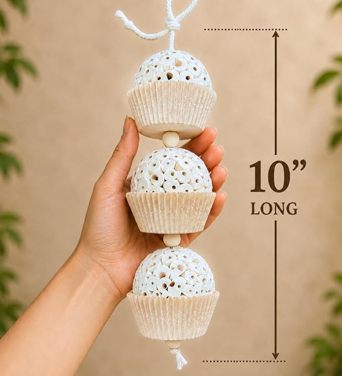 Shred and Destroy Bird Toy for Medium Birds - Conures, Cockatiels - Natural Sola Ball Hanging Chew Toy - 2 Pack - Boredom Buster Cage Toy