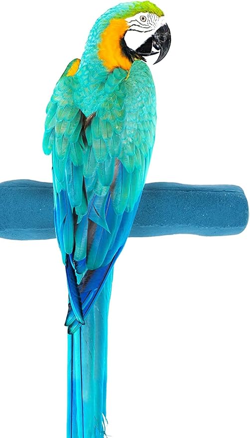 Sweet Feet and Beak Comfort Grip Safety Perch for Bird Cages - Pedicure Perch for Birds to Keep Nails and Beaks in Top Condition - Safe Easy to Install Bird Cage Accessories XL 13.5" - Green