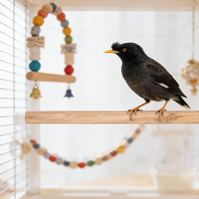 YARNOW 5pcs Natural Wood Bird Perches for Parrots Height Stand Toy for Parakeets Cockatiels and Lovebirds Easy to Install Exercise Platforms