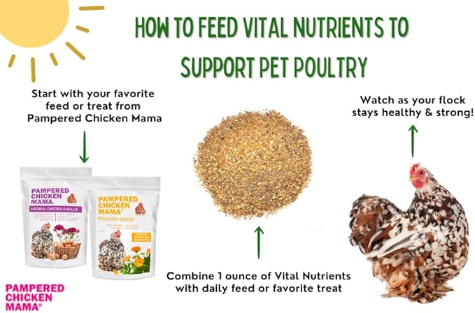 Vital Nutrients: Chicken Vitamins for Feed & Molting Supplement, Egg Booster, Poultry & Chicken Vitamins - Pampered Chicken Mama (5 pounds)