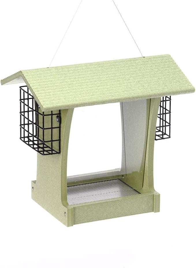 Birds Choice GSHF300S Tall Hopper Feeder with Suet Cages, Recycled Hanging Bird Feeder, 5 Quarts, Green