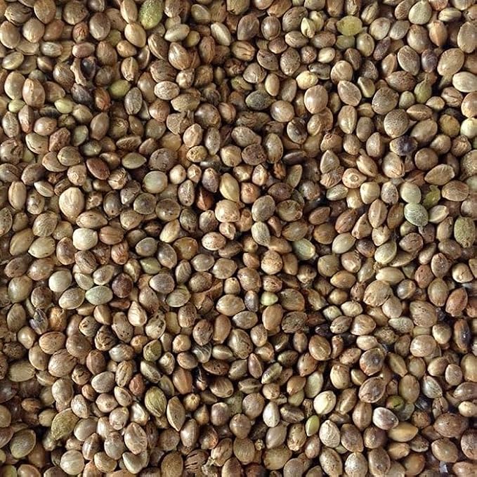Hemp Seed (Sterilized) for Birds (4 LB)