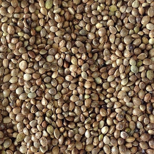 Hemp Seed (Sterilized) for Birds (4 LB)