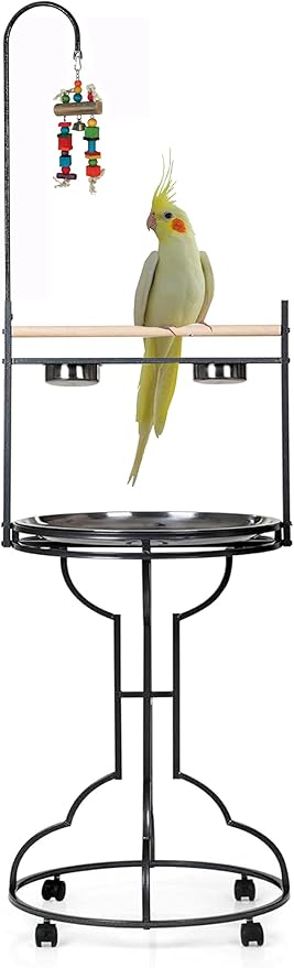 Elegant Design Wrought Iron Parrot Cockatiel Cockatoo Bird Play Perch Gym Ground Rolling Stand with Removable No Rust Stainless Steel Pan and Feeder Cups