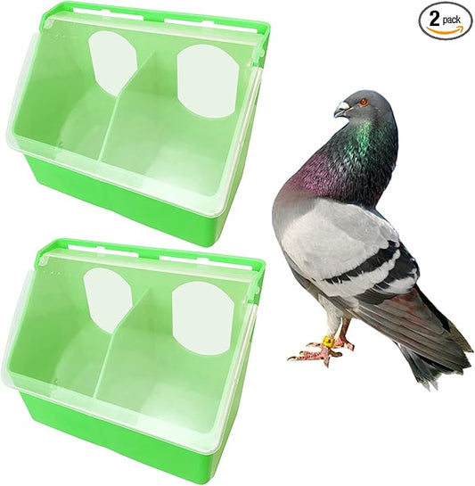 Pigeon Feeder Water 2 Pack Quail Bird Chicken Feeder Water Dispenser Drinkers with 2 Hole Pet Bowls & Feeders Eat Food (Two Hole (Green))