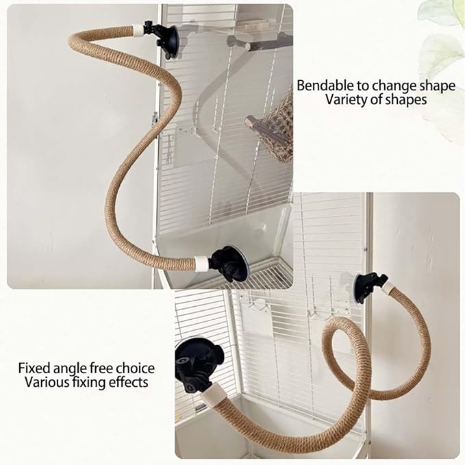 Suction Cup Set for Bird Window/Bath/Car/Travel Perches - Suitable for Small and Medium Bird Parrot Parakeet Cockatiel Conure Budgie Lovebirds