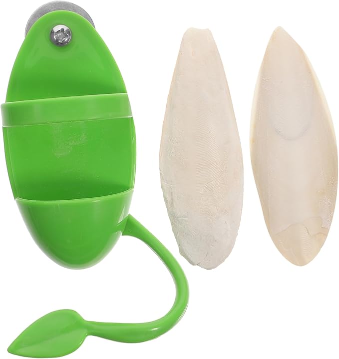 BESPORTBLE 1set Cage Bird Feeder Cuttlebone Stand Bird Cage Accessories for Parrots Snails and Pets Safe Non- Design for Easy Feeding and Entertainment