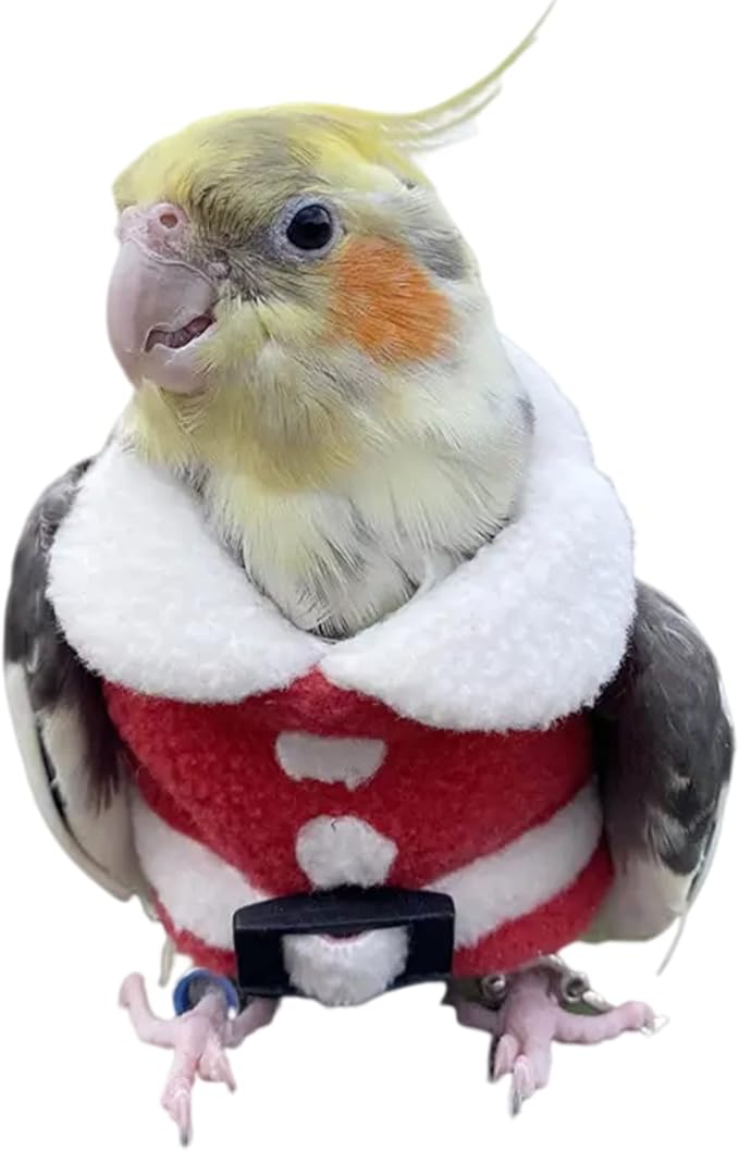 Bird Clothes Birds Flight Suit, Christmas Hoodie for Parrots Cockatiel Sun Conure Christmas Party Cosplay Photo Prop Bird Shirt Small Animals Apparel (B,Alexandrine)