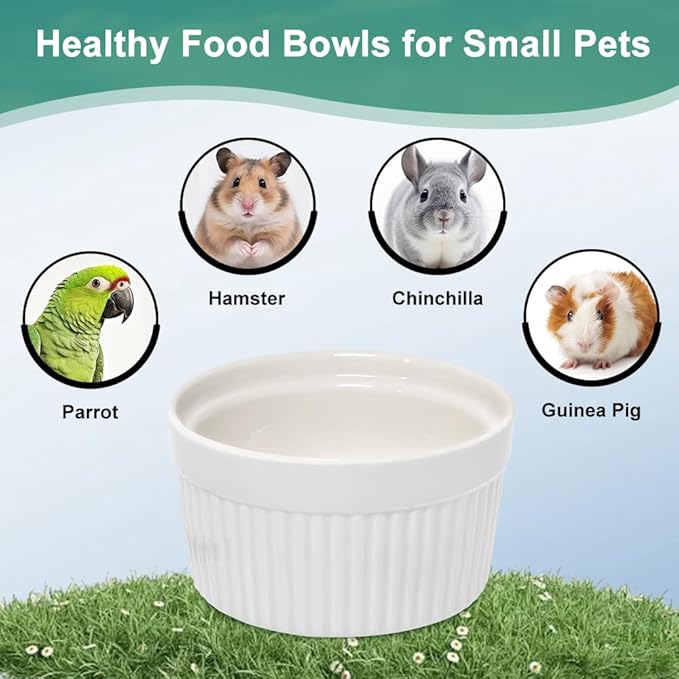 Bird Feeder for Cage Bowl, Ceramic Parrot Feeding Cups - Automatic Easy to Clean & Install, Dishwasher Safe Small Animal Food Water Bird Dish for Parrots, Cockatiels, Canaries(White)