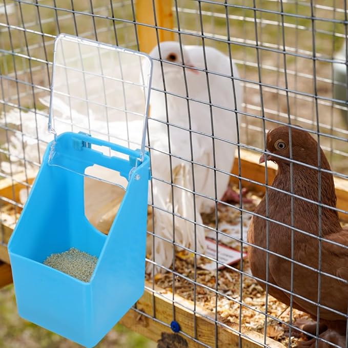 4pcs Pigeon Feeder Pigeon Supplies Cages Quail Cage Comederos Quail Feeder Outside para Water s Bird Bowl Parrot Suite Single Hole