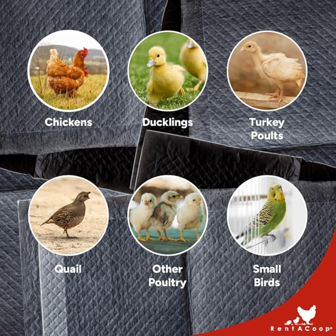 RentACoop Hatchling Liners for Big Red Barn Pack of 12 - Odor-Control Chick Brooder Pads - Absorbent, Leakproof Bedding for Baby Chicks, Ducklings, and More (Big Red Barn Pack of 12)