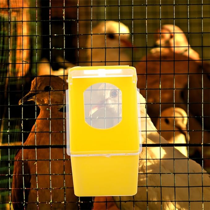 Toddmomy 4pcs Hanging Cage Bird Feeder Multi-Functional Pigeon Feeders Capacity for Birds Material Easy to Install