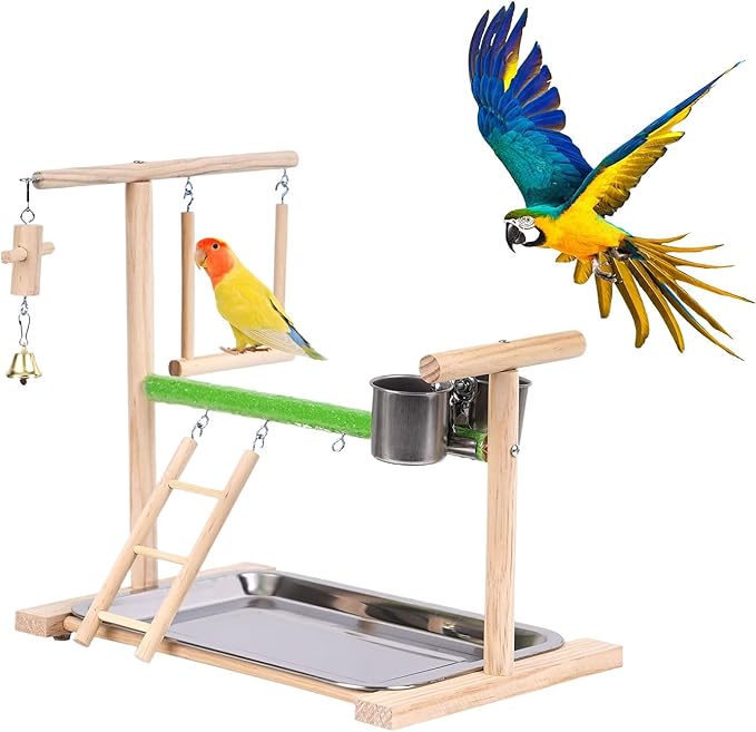 Bird Playground, Natural Wood Bird Perch Stand with Removable Tray and 2 Stainless Steel Feeder Cups, Parrot Playstand Bird Cage Toys for Conure Parakeet Cockatiel Parrot (C)