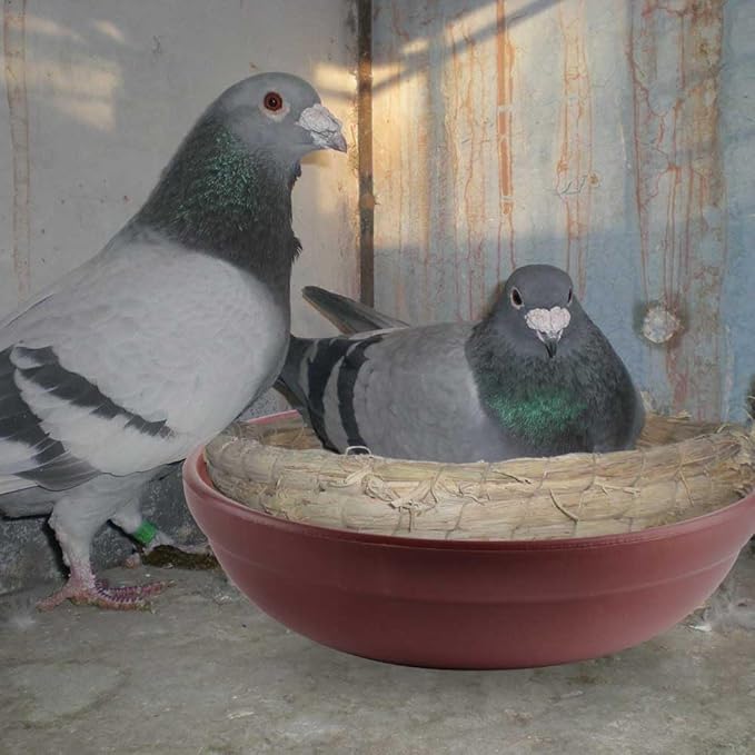 DQITJ 4 Pack Bird Nest Bowl Plastic Racing Pigeon Breeding Hatching Nest Box Egg Basin Pigeon Nest Bowl for Doves Pigeon Quail Bird (Dia: 8.6")