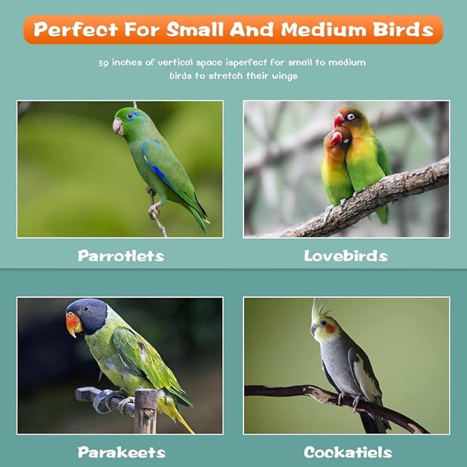 BestPet 64 inch Wrought Iron Bird Cage for Parakeets Medium Small Parrots Parakeet Cage with Detachable Rolling Stand & Play Open Top for Cockatiels Lovebird Finches Canaries (Almond)
