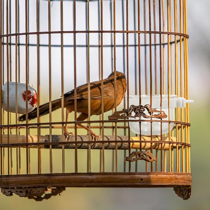 balacoo Small Bird Food and Water Bowl Detachable Acrylic Cage Feeder Cup for Parrots Cockatiels Convenient Hanging Bird Feeding Dish