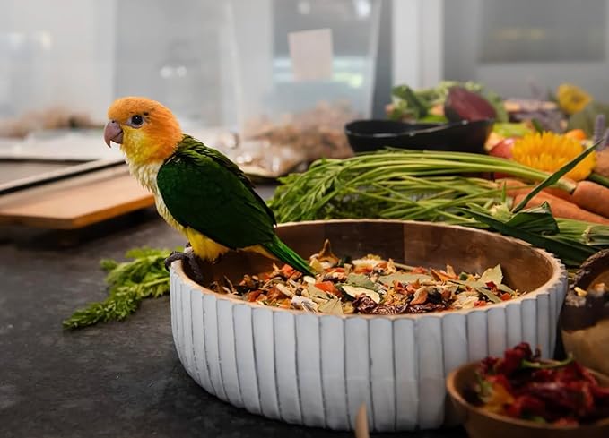 All Natural Parrot Food - Original Blend