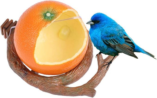 POPETPOP Birds Feeder Bowl-Parakeet Food Dish Orange Shaped Birds Feeder Cup for Small Parrots, Cockatiels,Conure and Hamster Small Animal Drinking Water Container